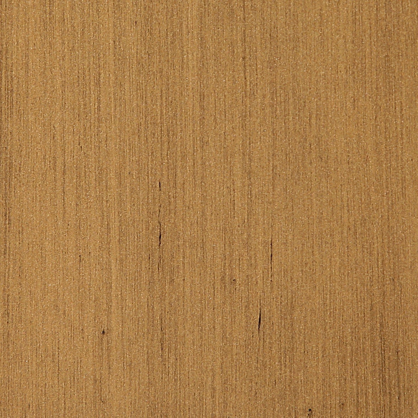 Aurum - Linen Textured Fabric Upholstered Dining Chair (Set of 2)