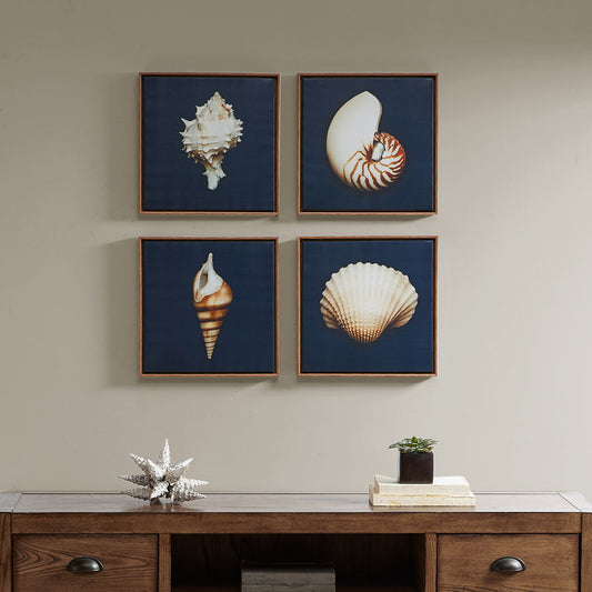 Ocean Seashells Framed Canvas (Set of 4) - Blue