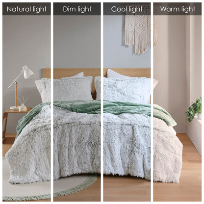 Malea - 2 Piece Twin/Twin Long Shaggy Comforter Mini Set - Green/White