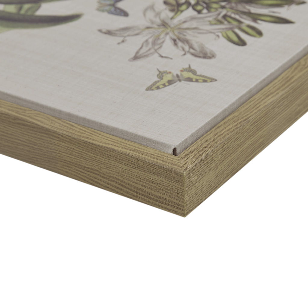 Herbal Botany - Framed Linen Canvas (Set of 4) - Green