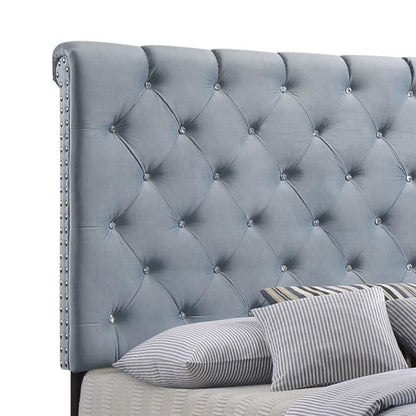 Warner - Upholstered Panel Bed