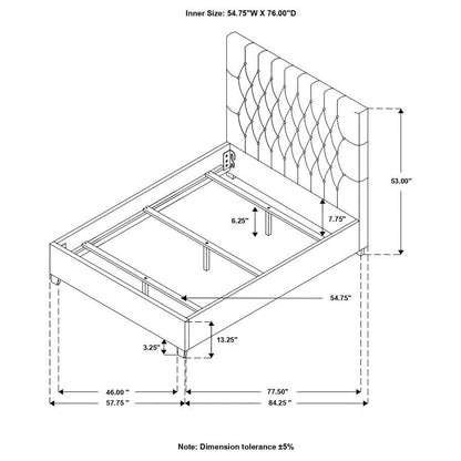 Chloe - Upholstered Panel Bed