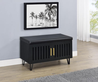 Brixton - 2-Door Padded Entryway Shoe Storage Bench