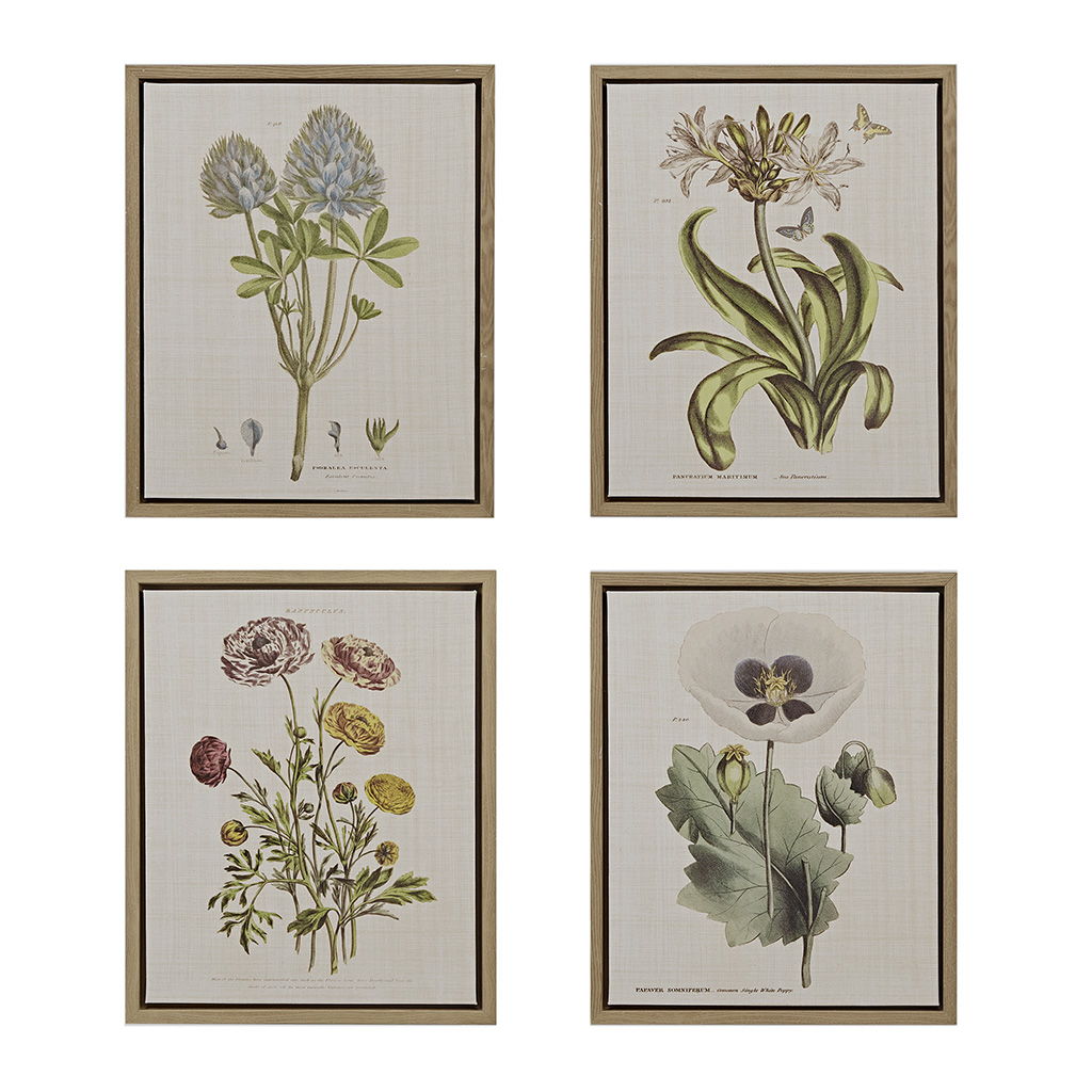 Herbal Botany - Framed Linen Canvas (Set of 4) - Green